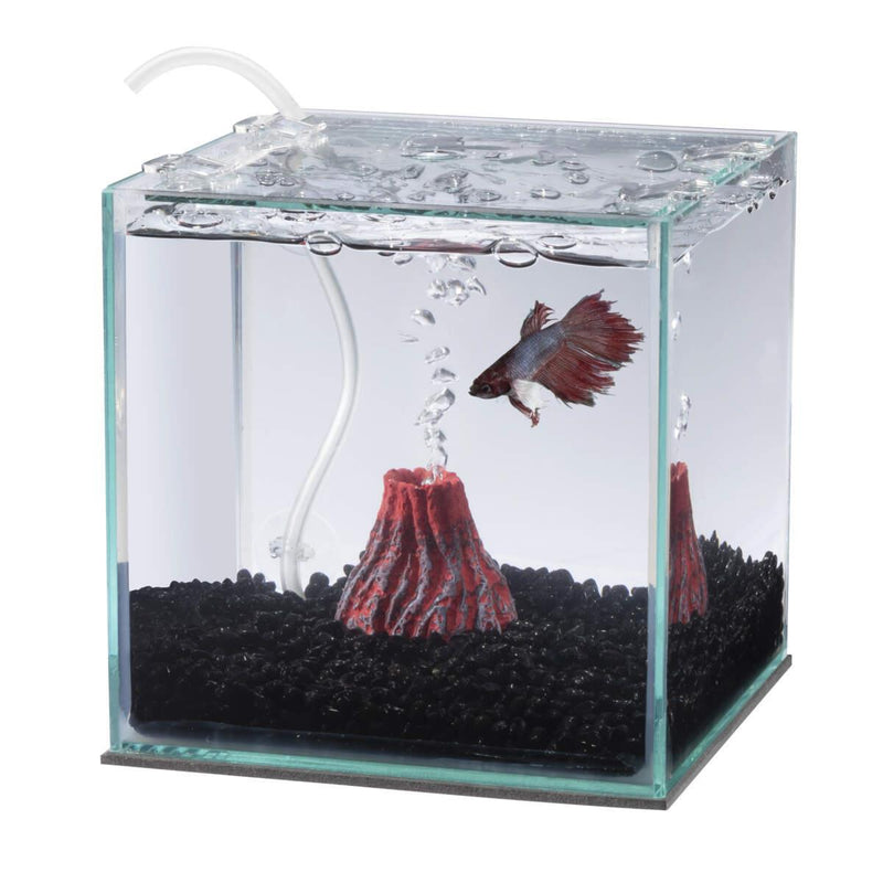 Aqueon Betta Filter Ornament - Pisces Pet Emporium