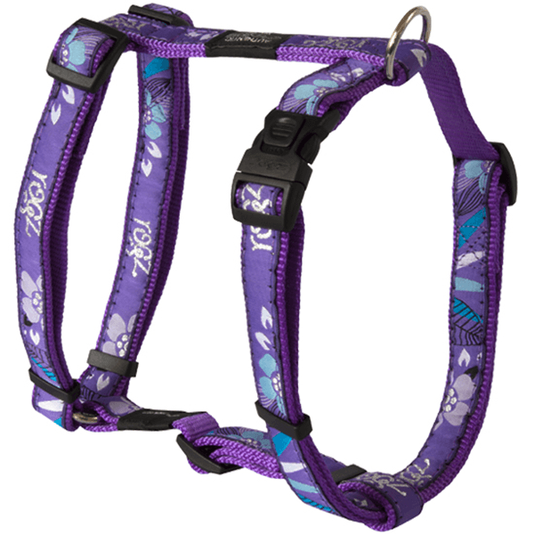 Rogz Jelly Bean Small Fancy Dress H-Harness - Available in 10 Designs - Pisces Pet Emporium