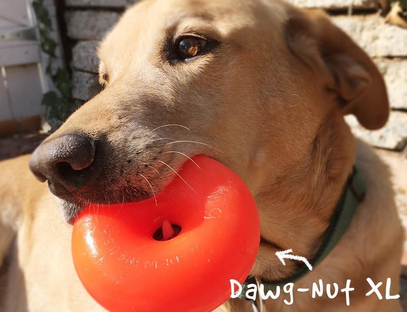 RuffDawg Dawg-Nut - Pisces Pet Emporium