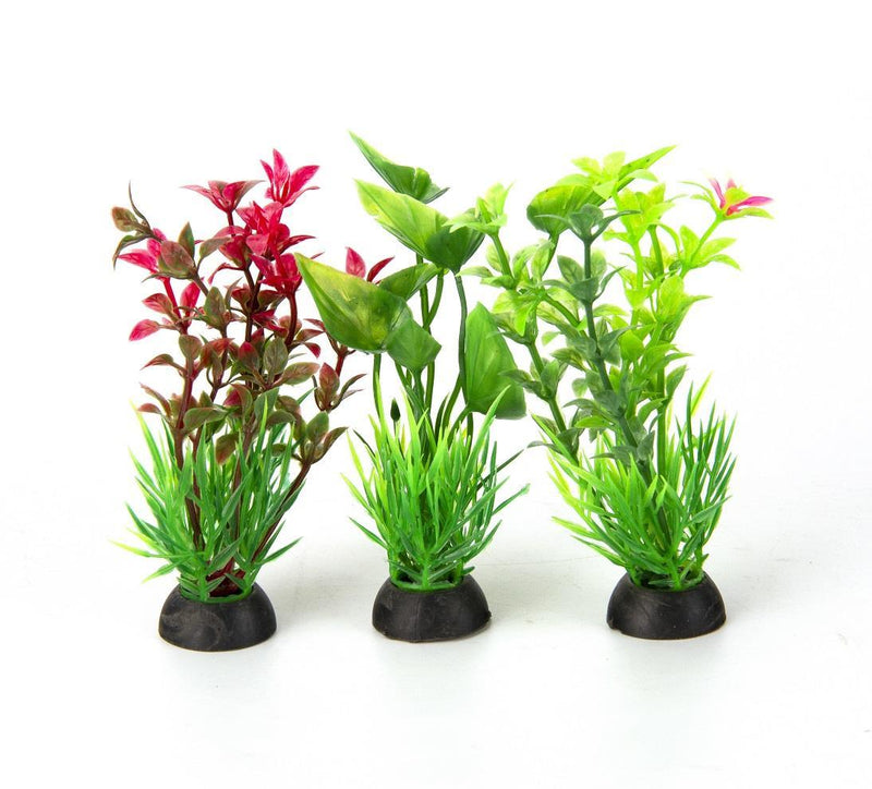Aqua-Fit Assorted Plant Variety Pack - Pisces Pet Emporium
