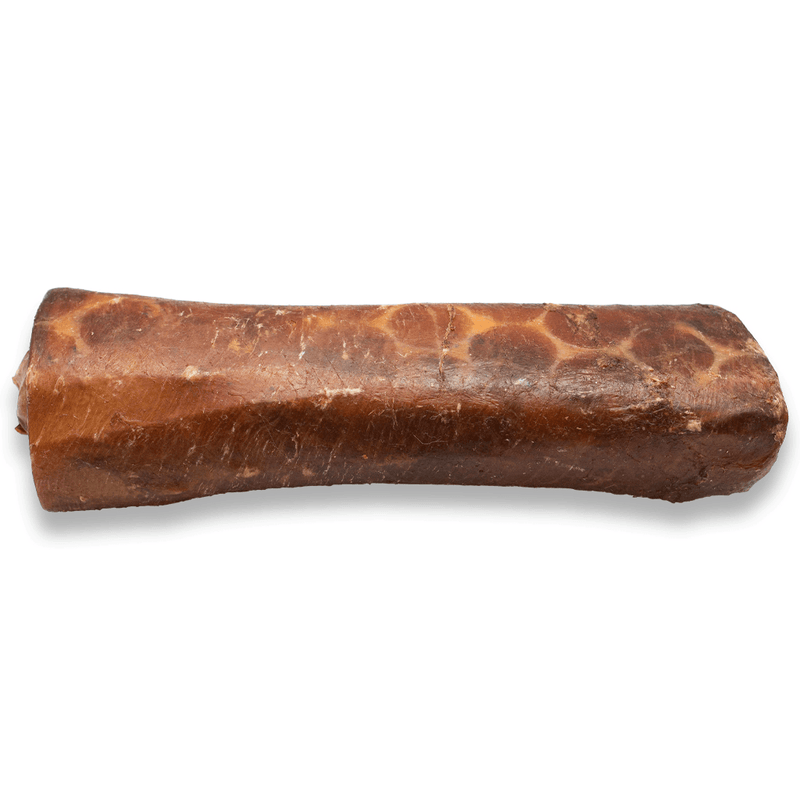 Silver Spur Asado - Esophagus-Wrapped Center Cut Beef Bone 6" - Pisces Pet Emporium