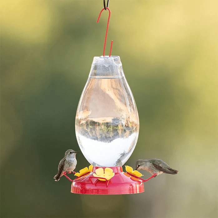 Perky Pet Rounded Vase Plastic Hummingbird Feeder - Pisces Pet Emporium
