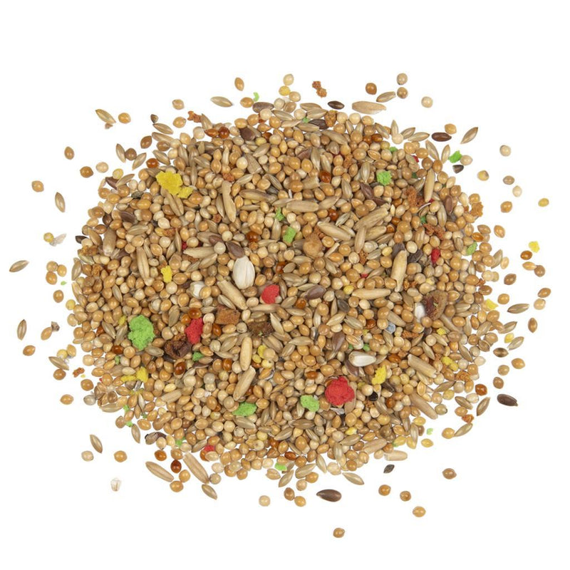 PUUR Country Budgie Seed Food | Pisces Pet Emporium 