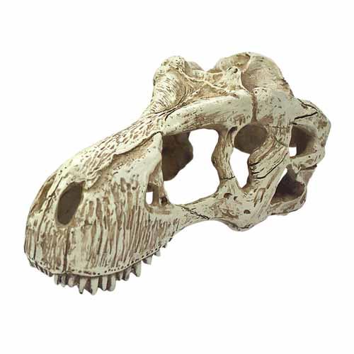 Komodo T-Rex Skull Ornament | Pisces