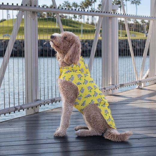 Canada Pooch Pick Me Poncho | Pisces