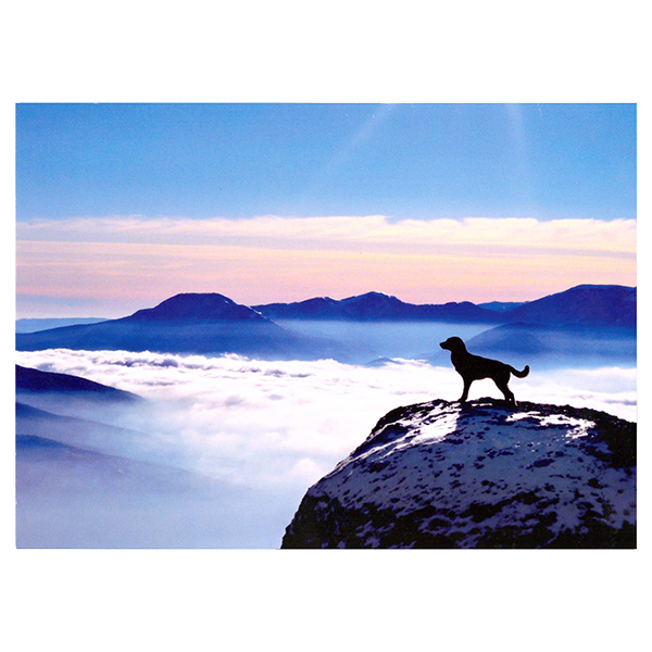 Avanti Dog On Mountain Pet Sympathy Card - Pisces Pet Emporium
