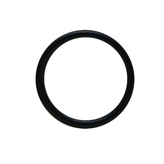 AquaClear Replacement Seal Ring | Pisces