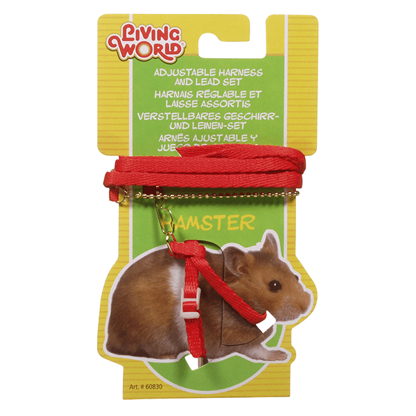 Hamster harness and lead best sale