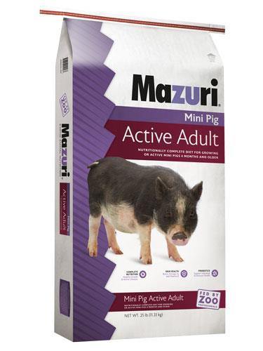 Mazuri Mini Pig Active Adult Food - 25lb - Pisces Pet Emporium
