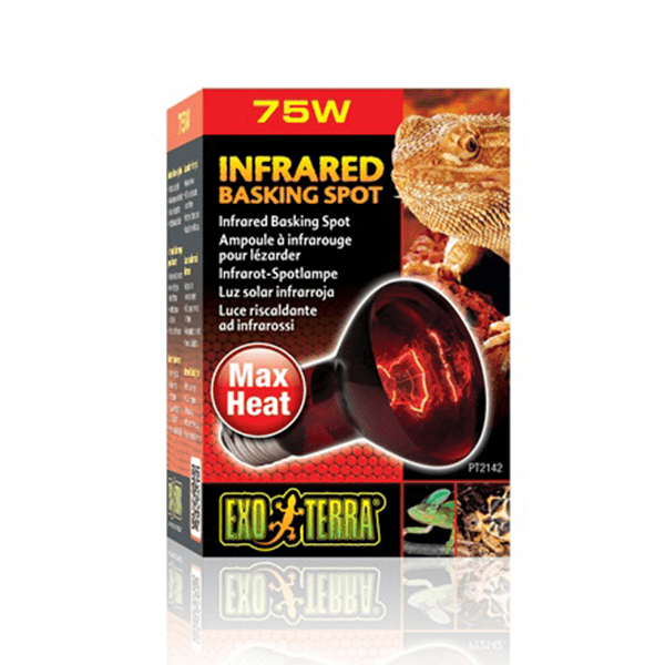 Exo terra deals basking spot lamp