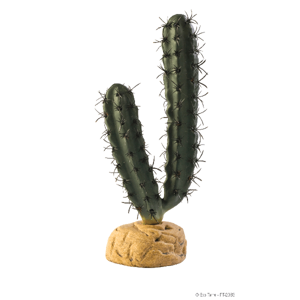 Exo Terra Finger Cactus - Pisces Pet Emporium