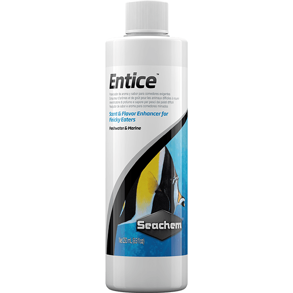 Seachem Entice - 250 ml - Pisces Pet Emporium