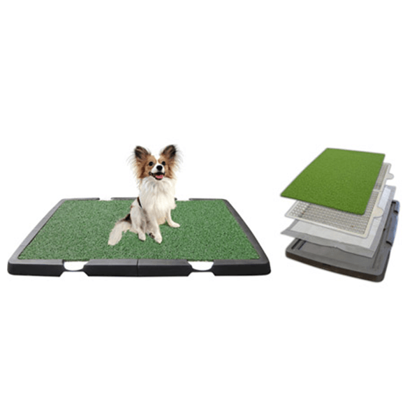 Spotty indoor dog potty replacement grass best sale