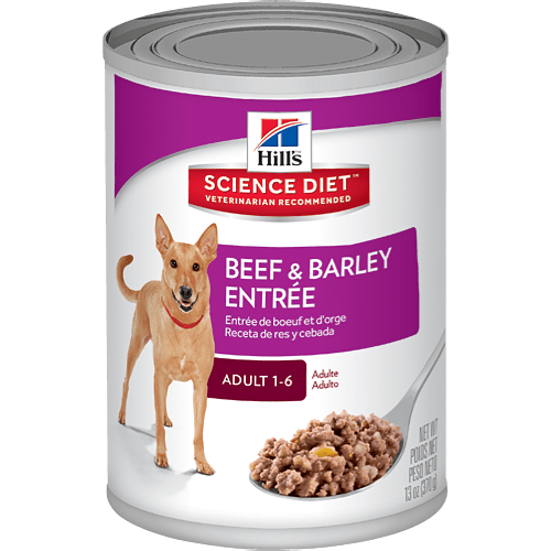Science diet beef and barley best sale