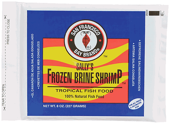 San Fransisco Frozen Brine Shrimp Flat 8oz - Pisces Pet Emporium