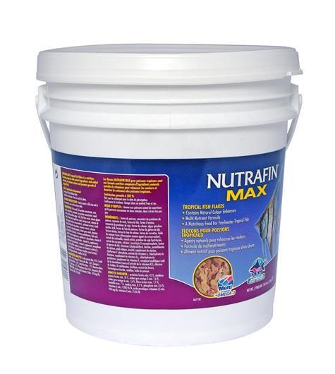 Nutrafin max hot sale tropical fish flakes