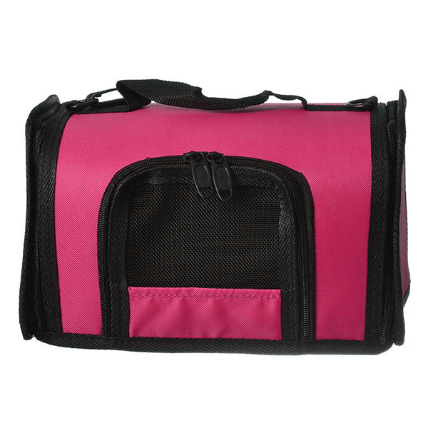 Kaytee come along pet carrier online