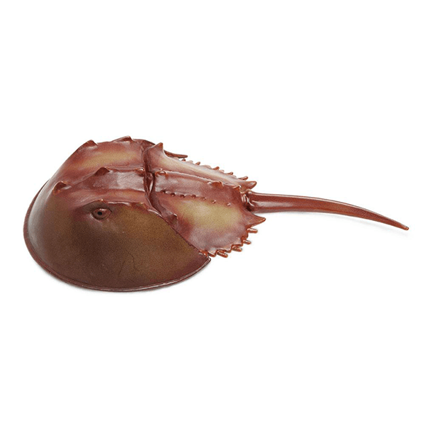 Safari Ltd. Horseshoe Crab - Pisces Pet Emporium