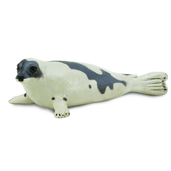 Safari Ltd. Harp Seal - Pisces Pet Emporium
