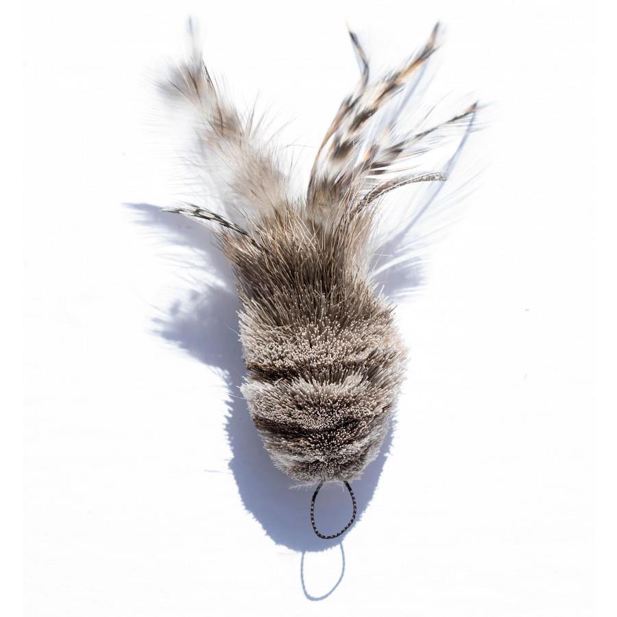 Wooly Feather Mouse