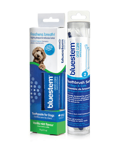 Bluestem Oral Care Toothpaste Vanilla Mint