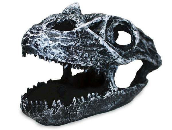 Pangea Dinosaur Skull Cave - Pisces Pet Emporium