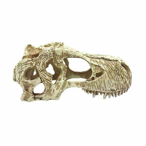 Komodo T-Rex Skull Ornament | Pisces