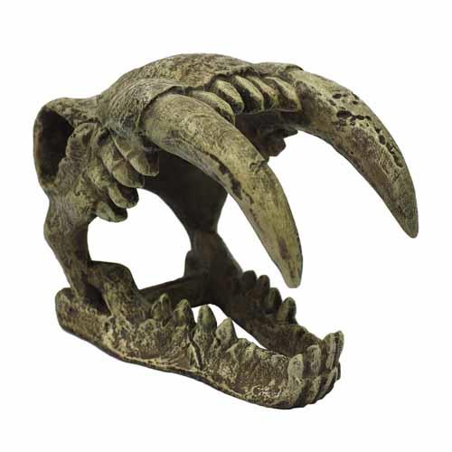 Komodo Saber Tooth Skull Ornament | Pisces