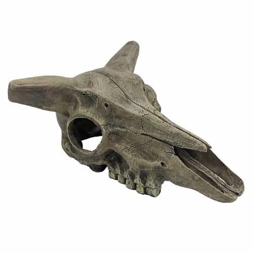 Komodo Deer Skull Ornament