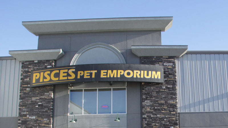 Pisces Curbside Delivery Service - Pisces Pet Emporium