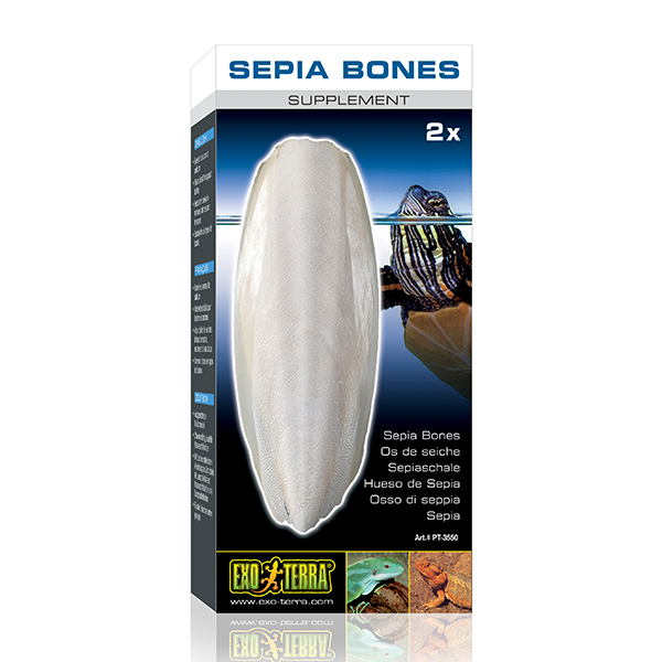 Exo Terra Sepia Bones - Pisces Pet Emporium