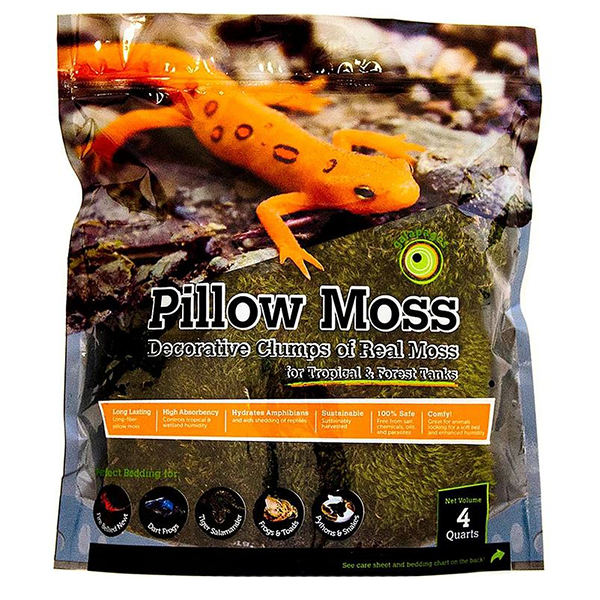 Galapagos Pillow Moss - Pisces Pet Emporium