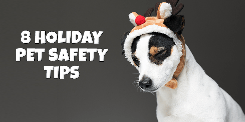 8 Holiday Pet Safety Tips - Pisces Pet Emporium