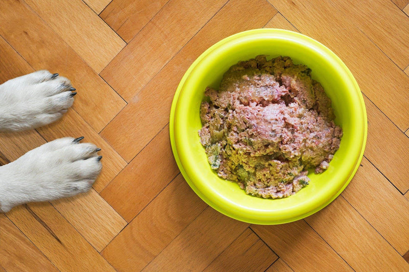 What you Need to Know About Raw Dog Food! - Pisces Pet Emporium