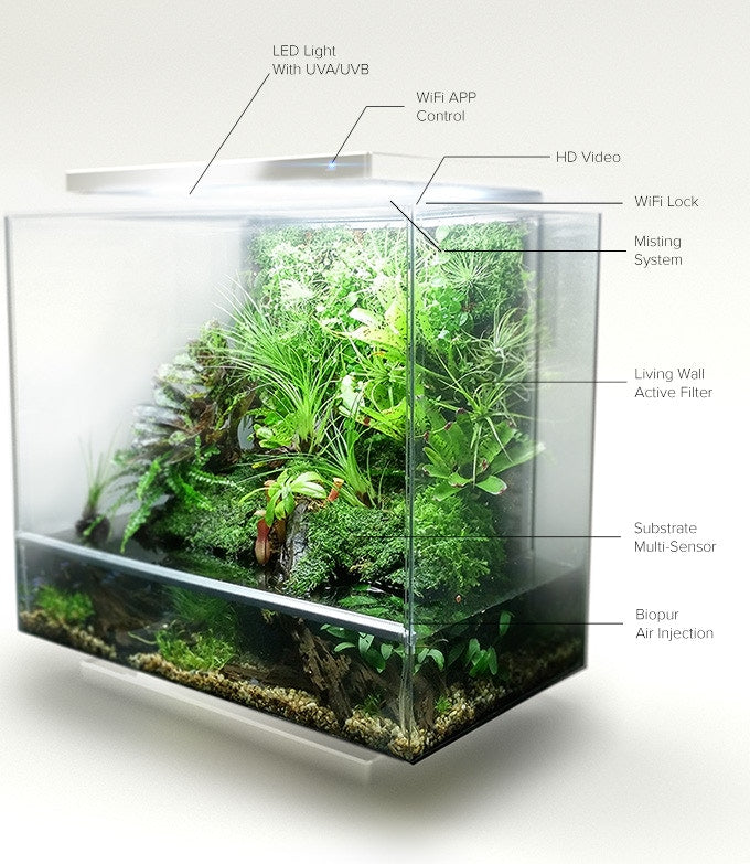 Biopod Self-contained Ecosystem - Pisces Pet Emporium