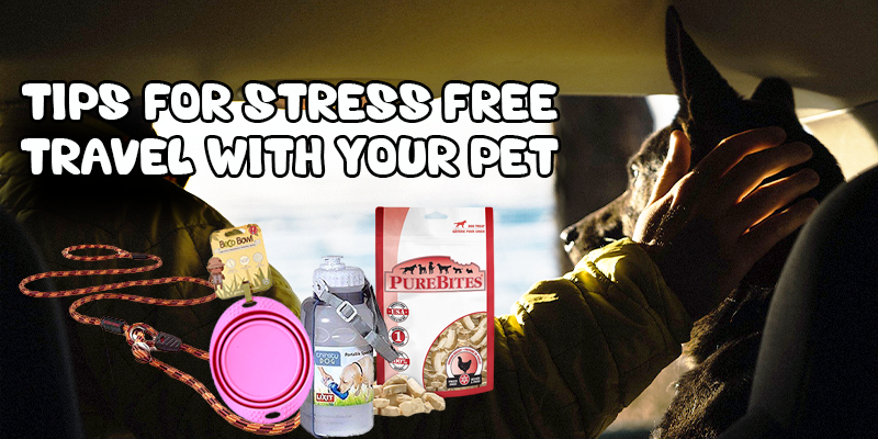 Tips for Stress-Free Travel with your Pet - Pisces Pet Emporium