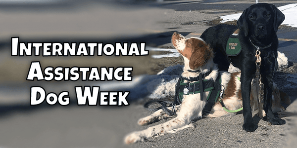 International Assistance Dog Week - Pisces Pet Emporium