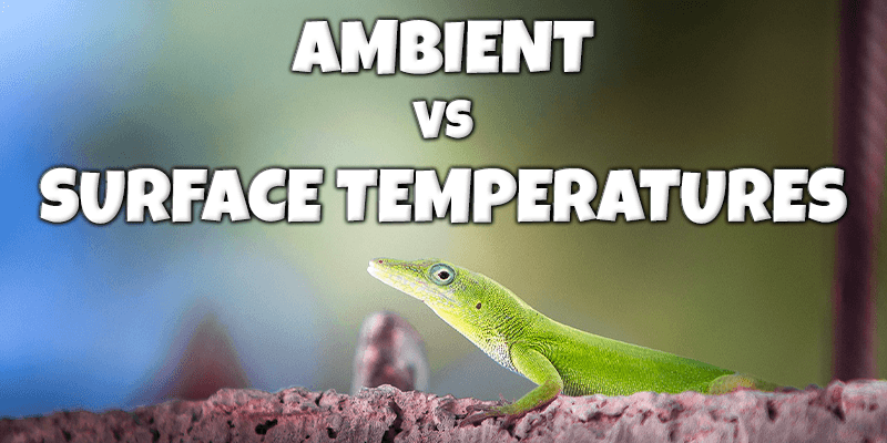 Ambient VS Surface Temperatures - Pisces Pet Emporium
