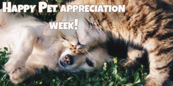 Happy Pet Appreciation Week! - Pisces Pet Emporium