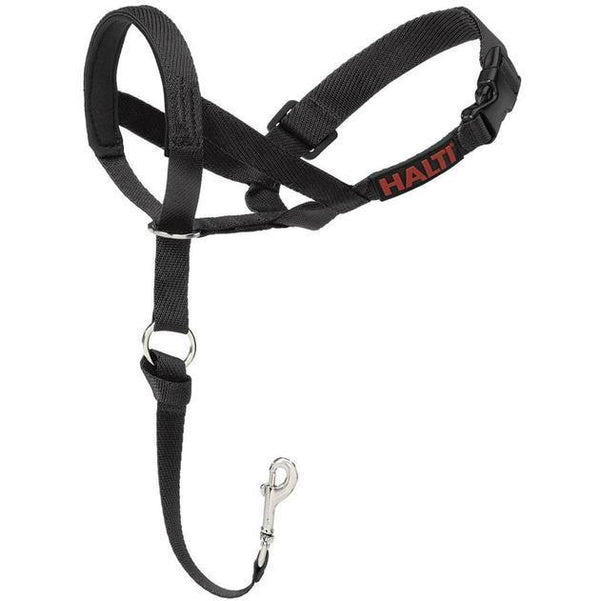 Nikeah's Pick: Halti Nylon Head Collar - Pisces Pet Emporium