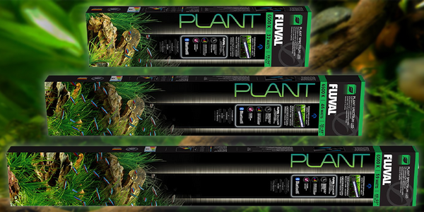Richard's Pick - Fluval Plant Spectrum LED - Pisces Pet Emporium