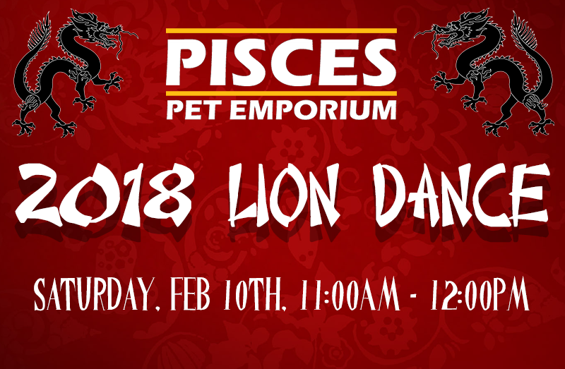 Pisces Lion Dance | Feb 10th, 2018 - Pisces Pet Emporium