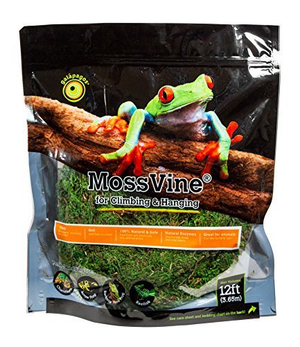 Galapagos MossVine - Pisces Pet Emporium