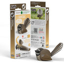EUG 3D Cardboard Model Kit - Bird + Sky