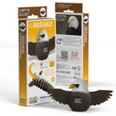 EUG 3D Cardboard Model Kit - Bird + Sky