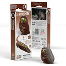 EUG 3D Cardboard Model Kit - Bird + Sky
