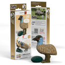 EUG 3D Cardboard Model Kit - Bird + Sky