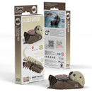 EUG 3D Cardboard Model Kit - Water