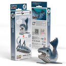 EUG 3D Cardboard Model Kit - Water