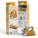 EUG 3D Cardboard Model Kit - Pets & Plants